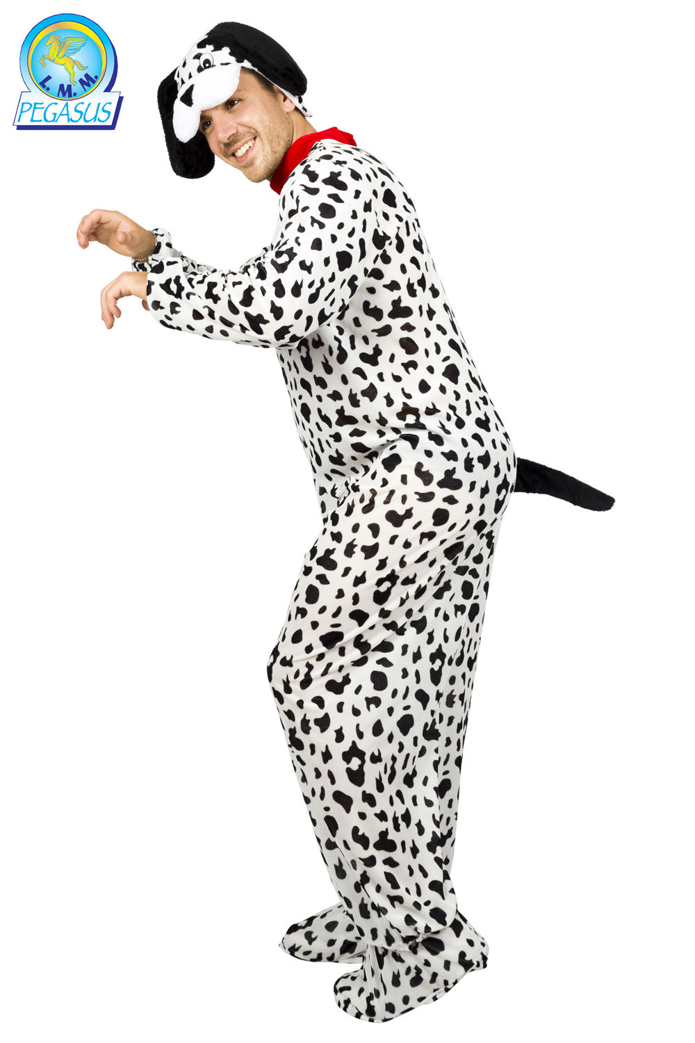 DALMATA ADULTO